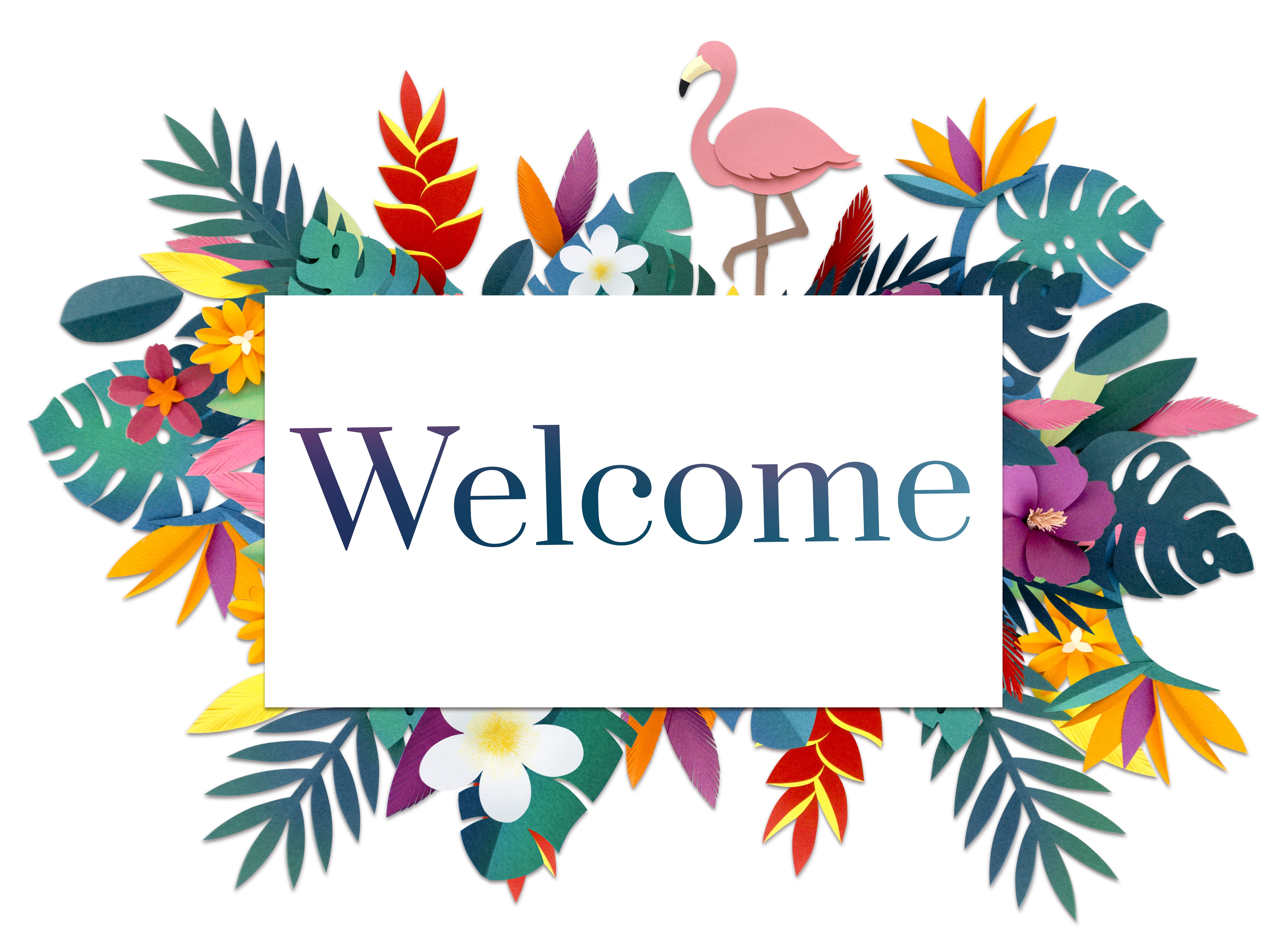 North Macedonia EU Project